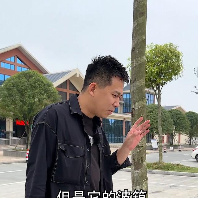 奔驰glc奥迪q5l哪个更值得购买（30万左右奔驰宝马奥迪的suv怎么选）(2)