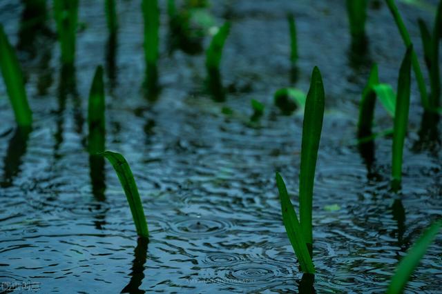 形成降雨的条件有哪些？形成降雨需要具备哪些条件呢(1)