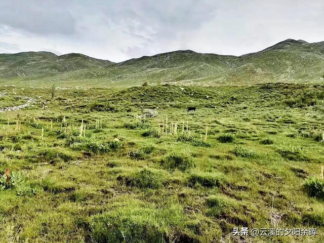 打卡康定木格措景区纯属娱乐（康定情歌木格措景区跟团一日游）(18)