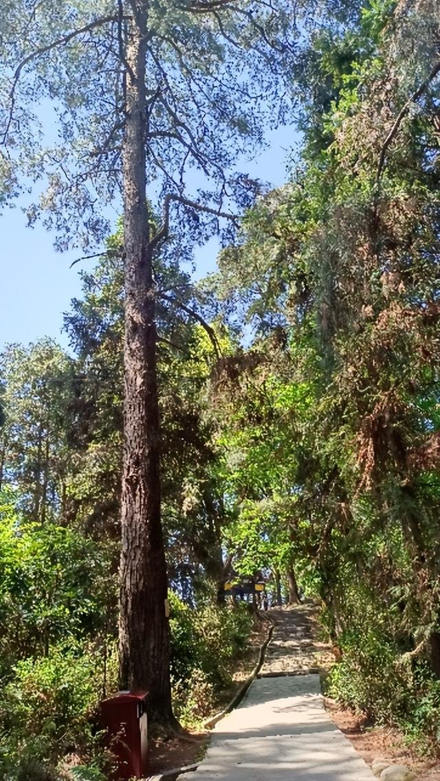 贵州深山隐藏的景点（这里是贵州最酷的地方）(13)