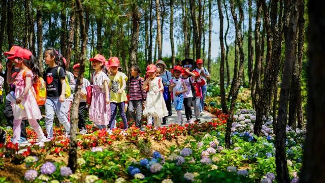 光明暑期青少年夏令营排行榜（超燃的花海阳光少年夏令营来袭）(2)