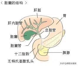 术后病理说是恶性肿瘤（女子腹痛怀疑恶性肿瘤）(5)