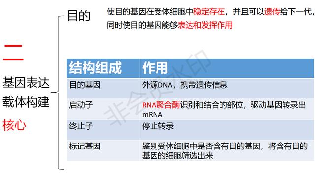 高中基因工程的知识点（带你学高中生物）(7)