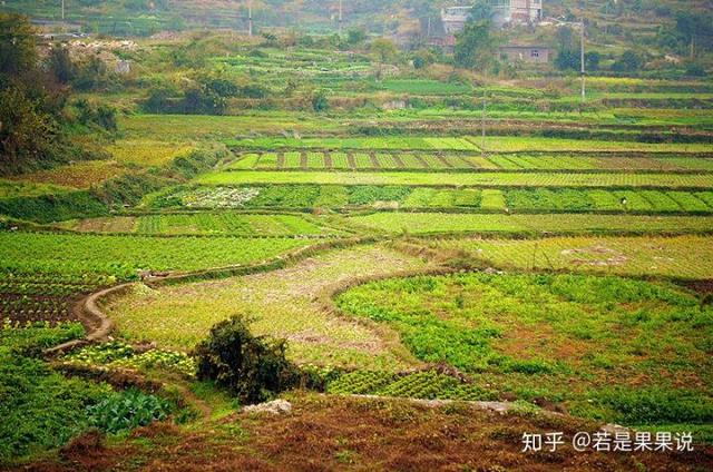 贵阳必去十大网红景点（贵州旅游景点推荐）(3)