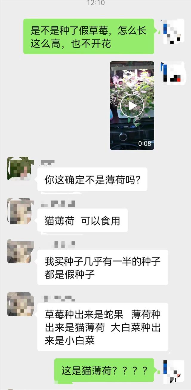 在网上买的草莓苗能长出草莓吗（让人无奈的网购经历背后）(7)