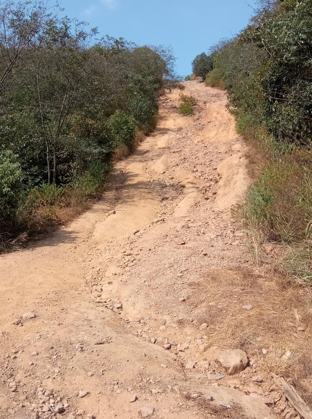 桃花峪登山线路适合步行吗（下午徒步桃花岭公园）(16)