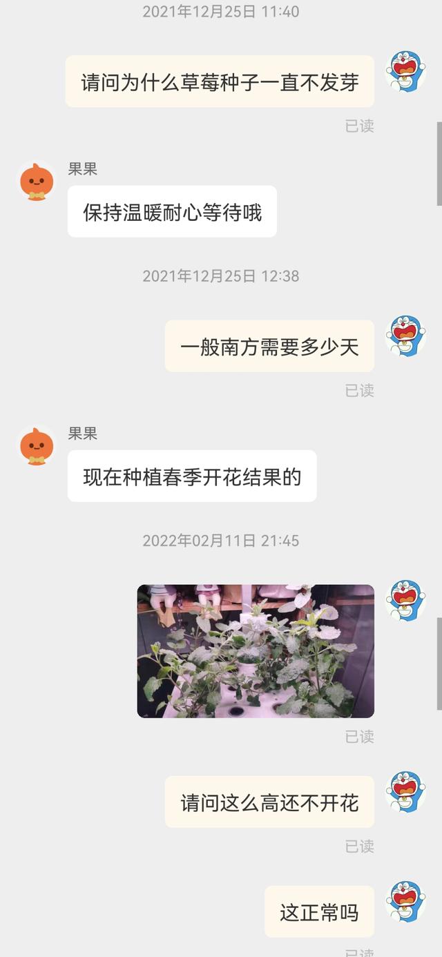 在网上买的草莓苗能长出草莓吗（让人无奈的网购经历背后）(4)