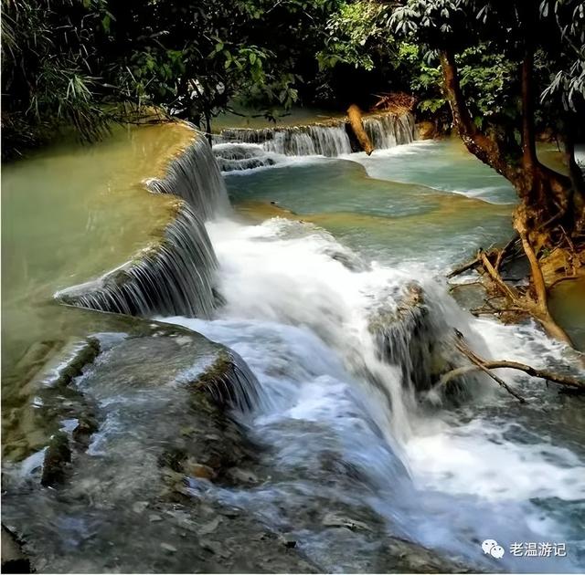 西双版纳避坑旅游必备攻略（云南西双版纳之十八）(14)