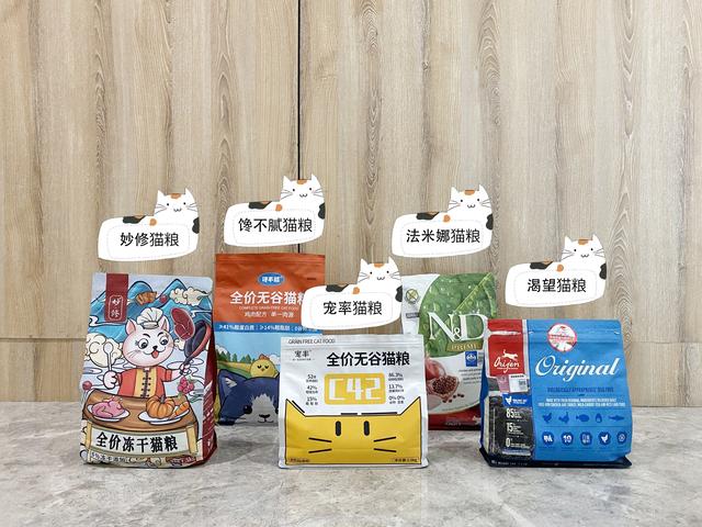 橘猫洗澡的正确方法（橘猫洗澡小知识）(10)