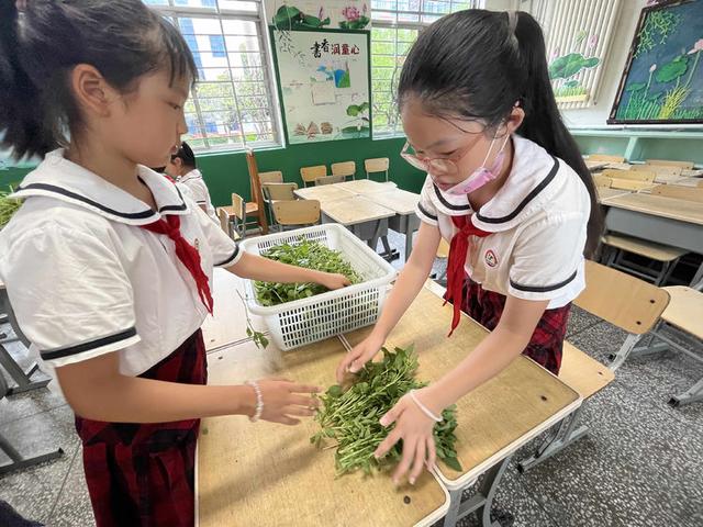 龚路小学义卖活动（漯河市实验小学开展）(22)