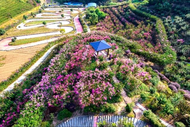 光明暑期青少年夏令营排行榜（超燃的花海阳光少年夏令营来袭）(5)