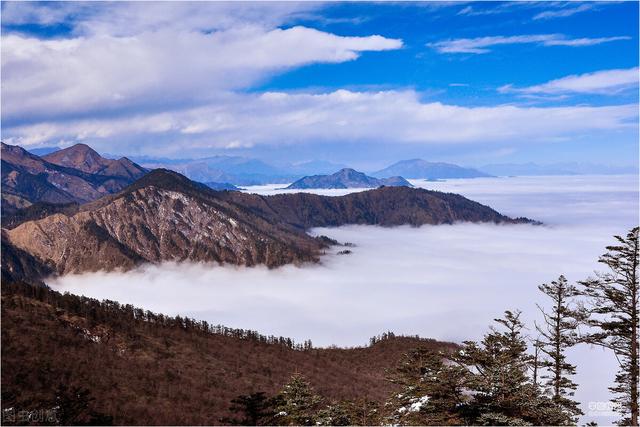 美丽天山雪山云雾美景（美丽景色雪山云海）(9)