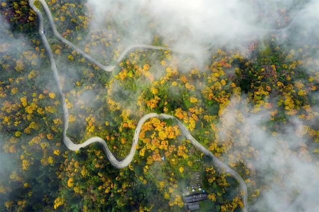 峨眉山美丽的古风景（还原峨眉山最美风景）(13)