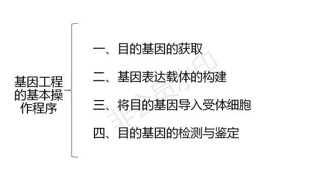 高中基因工程的知识点（带你学高中生物）(5)