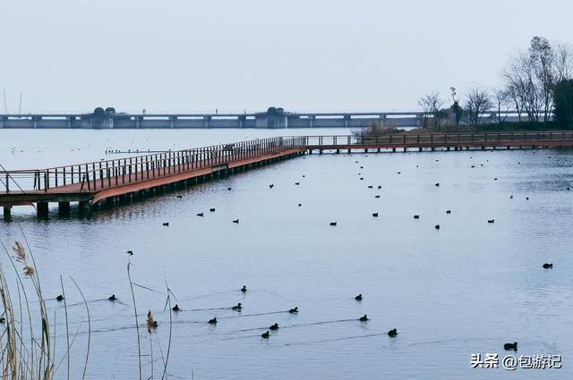 无锡太湖风光湿地公园（从太湖新城延伸到太湖边）(18)