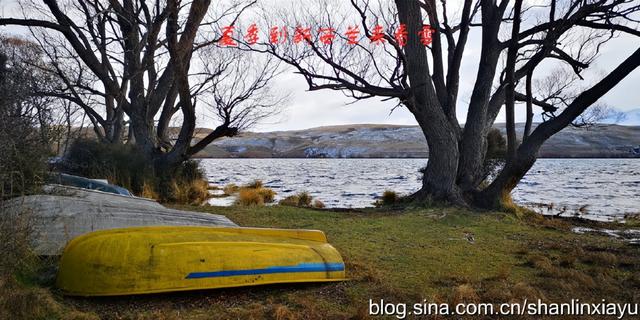 新西兰南岛旅游攻略自由行（夏季到新西兰来看雪）(45)