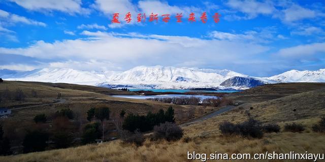 新西兰南岛旅游攻略自由行（夏季到新西兰来看雪）(49)