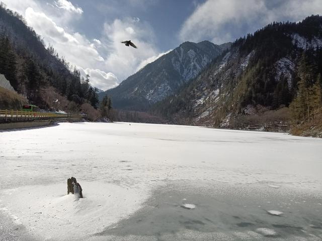 九寨沟旅游拍照（九寨沟旅游随手拍）(1)