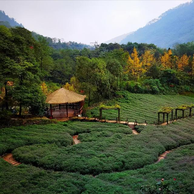 西岭雪山旅游后去哪里旅游方便（周边还可以去哪里呢）(16)