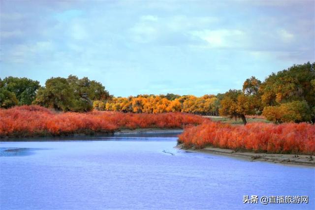 额济纳旗大漠胡杨林景区游览攻略（来额济纳深度体验游）(19)