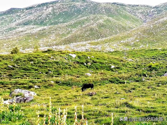 打卡康定木格措景区纯属娱乐（康定情歌木格措景区跟团一日游）(15)