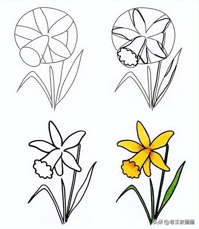 花卉的简笔画教程（花卉的简笔画教程）(6)