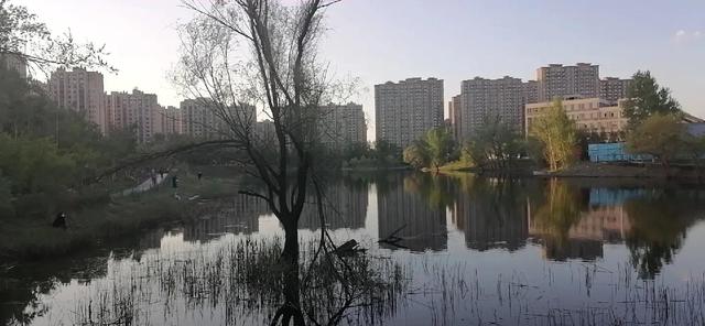 春日游华阳湖湿地公园（游南溪湿地公园偶得）(18)