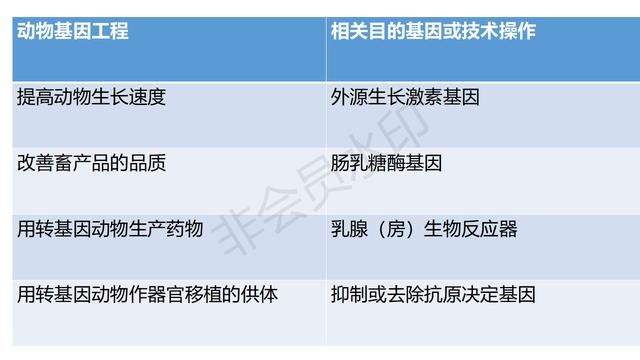 高中基因工程的知识点（带你学高中生物）(12)