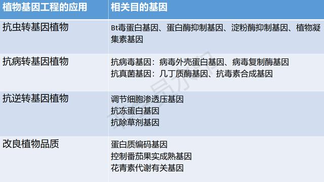 高中基因工程的知识点（带你学高中生物）(11)