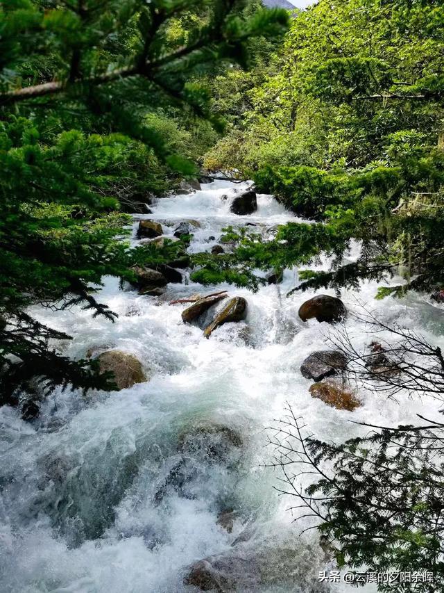 打卡康定木格措景区纯属娱乐（康定情歌木格措景区跟团一日游）(51)