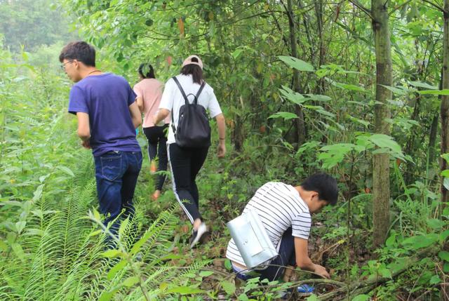 公务员为什么女孩录取率高（名校女生公务员落选）(6)