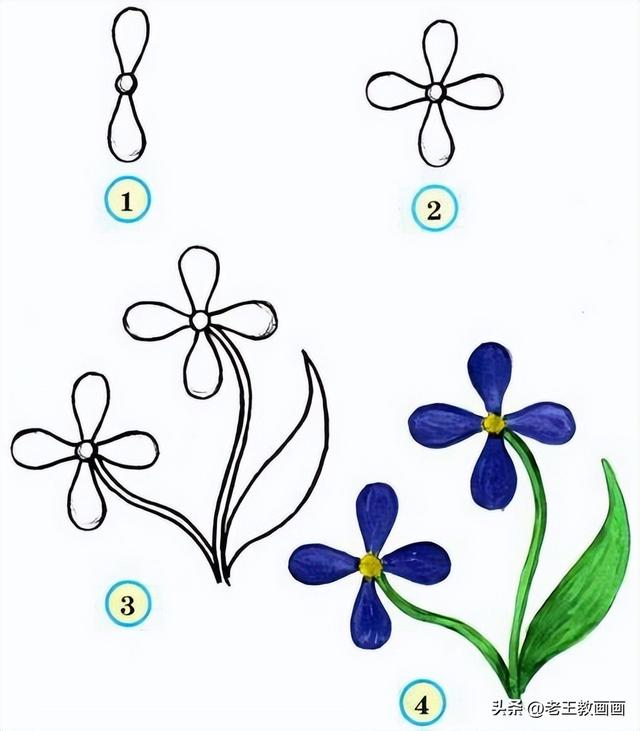 花卉的简笔画教程（花卉的简笔画教程）(7)