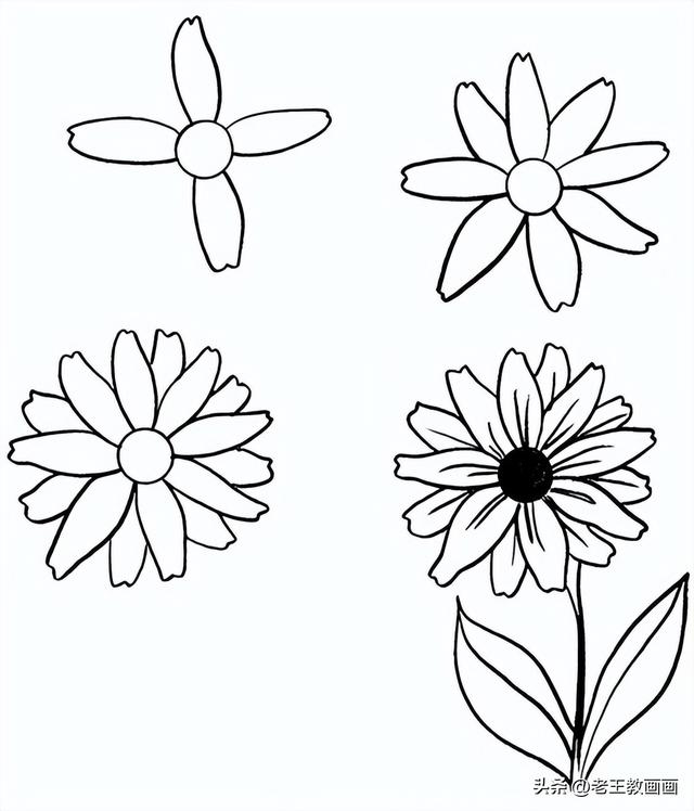 6幅花卉简笔画教程（6幅花卉简笔画教程）(6)