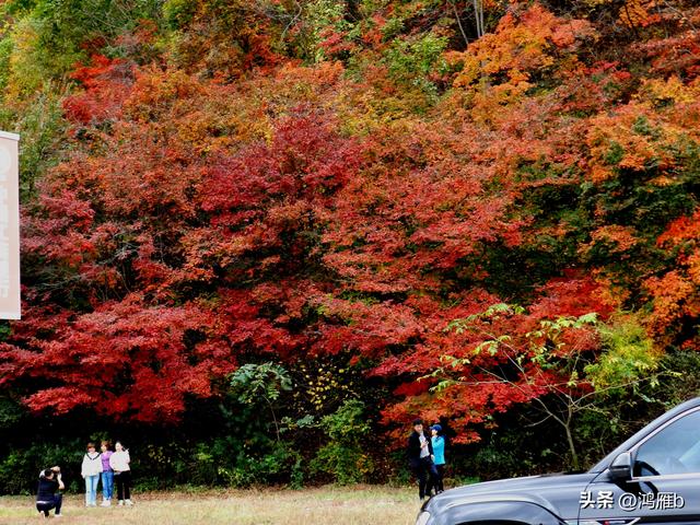 本溪汤沟花溪沐温泉航拍（本溪汤沟花溪沐温泉小镇枫情万种）(117)