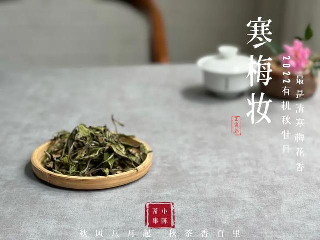 闷泡壶一定要白茶么（不用电的焖烧壶）(1)