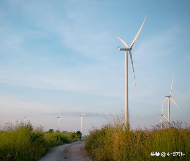 低碳农业的特征有哪些（在寒冷地区种植的挑战与机遇）(2)