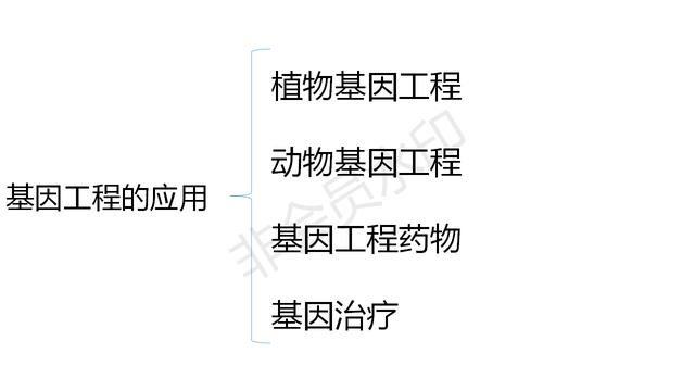 高中基因工程的知识点（带你学高中生物）(10)