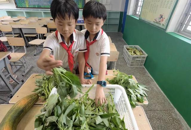 龚路小学义卖活动（漯河市实验小学开展）(20)