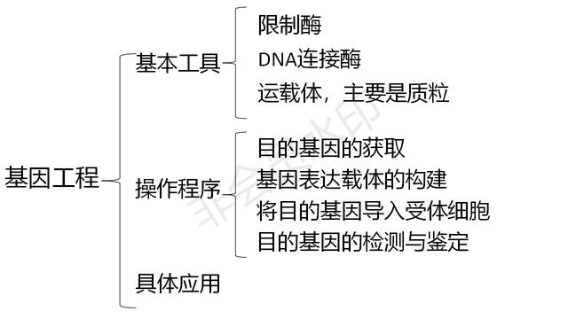 高中基因工程的知识点（带你学高中生物）(2)