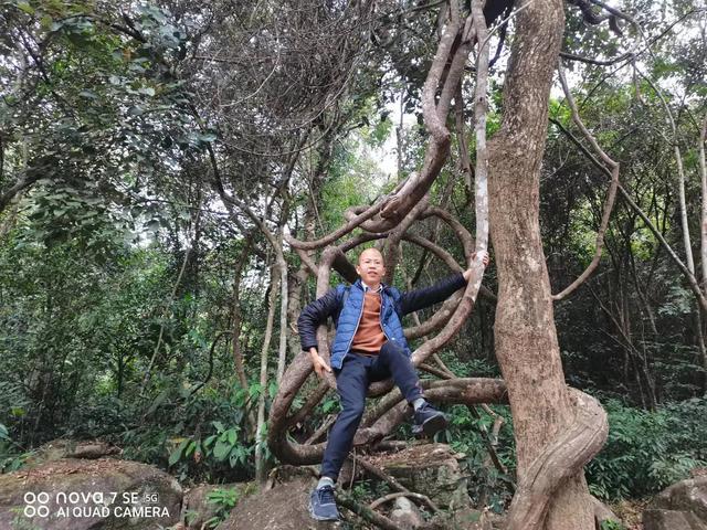 信宜天马山风景区（冬游信宜石根山风景区）(8)