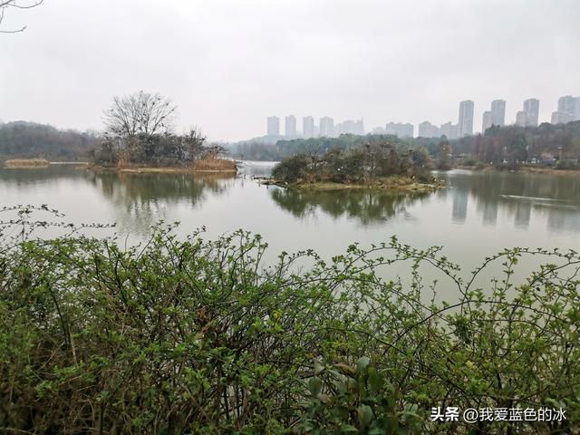 贵阳观山湖一日游最佳地点（重游贵阳第三天）(37)