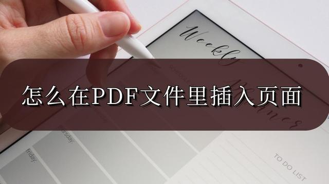 pdf文件如何可以直接插入文件中（怎么在PDF文件里插入页面）(1)