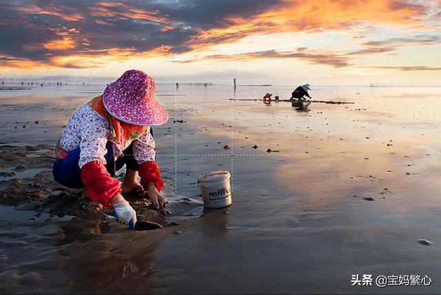 最真实的海边赶海（海边真的能捡到那么多的海货吗）(7)