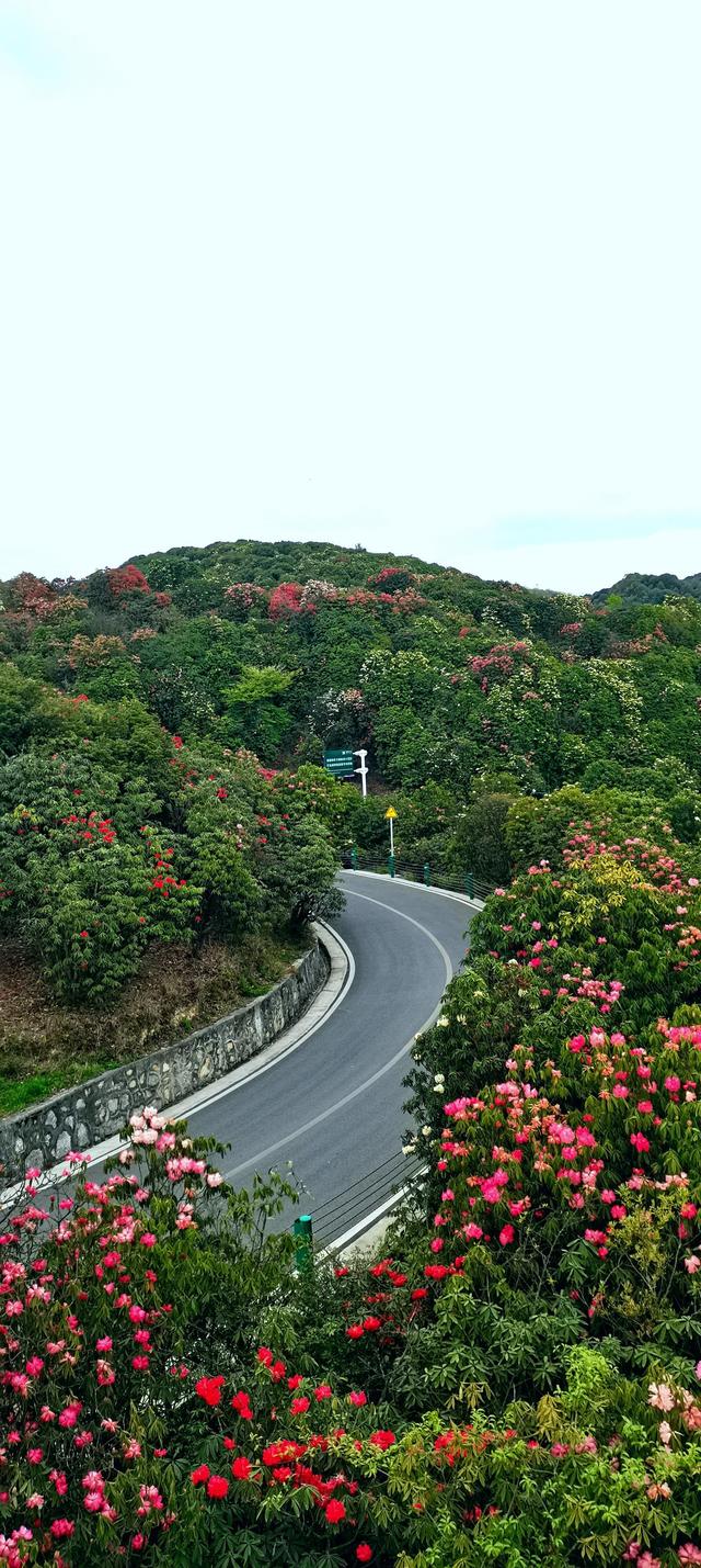 贵州必去的五个景点推荐（贵州必去的10个景点）(5)