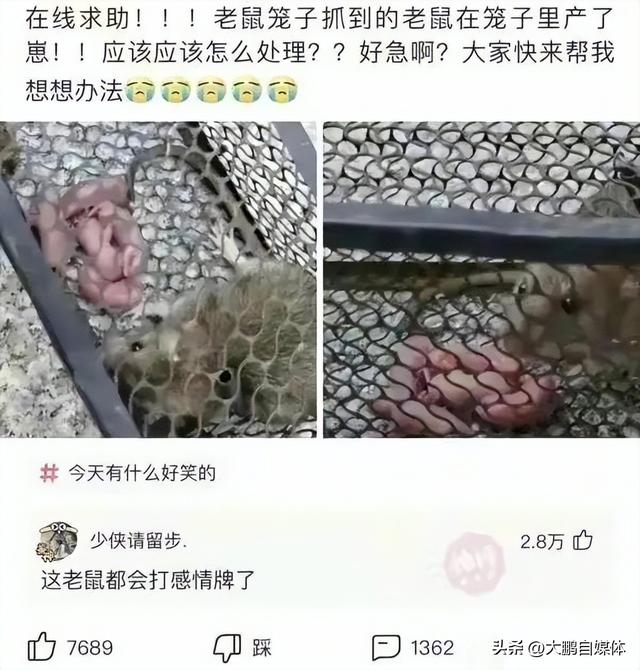 教你动车上如何搭讪邻座的女孩（请问怎么在火车上搭讪这个抖腿的女孩）(5)