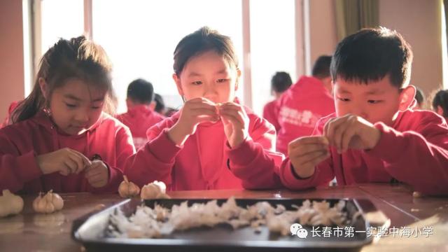 哈尔滨团结小学冰雪体育节（长春市第一实验中海小学）(80)