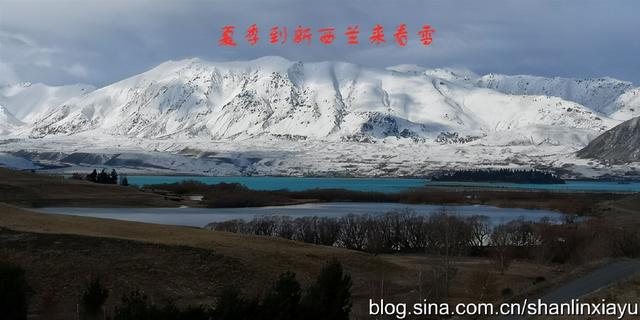 新西兰南岛旅游攻略自由行（夏季到新西兰来看雪）(50)