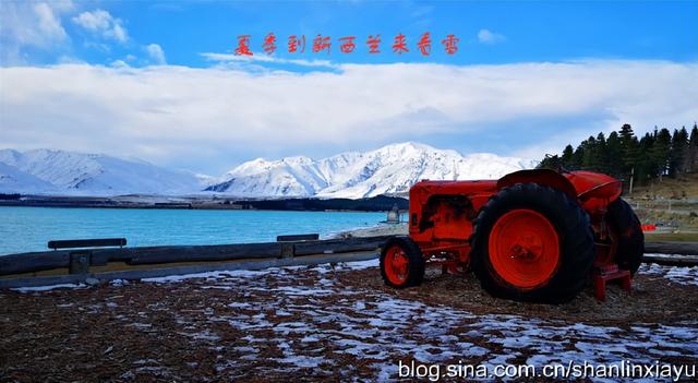 新西兰南岛旅游攻略自由行（夏季到新西兰来看雪）(17)