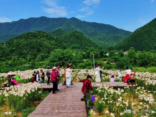 阎良周边3天旅游攻略（金秋十月阎良飞机城一日游）(19)