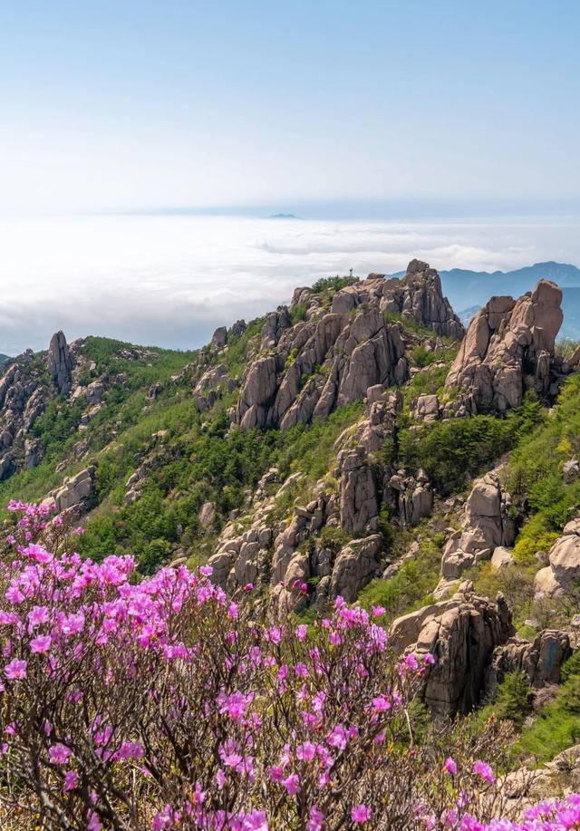 美丽的青岛海上美景（品读名人笔下的青岛）(4)